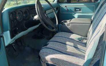 Chevrolet-1977-blue-3