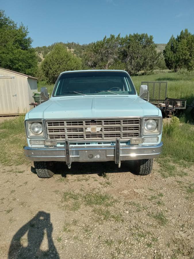 Chevrolet-1977-blue-7