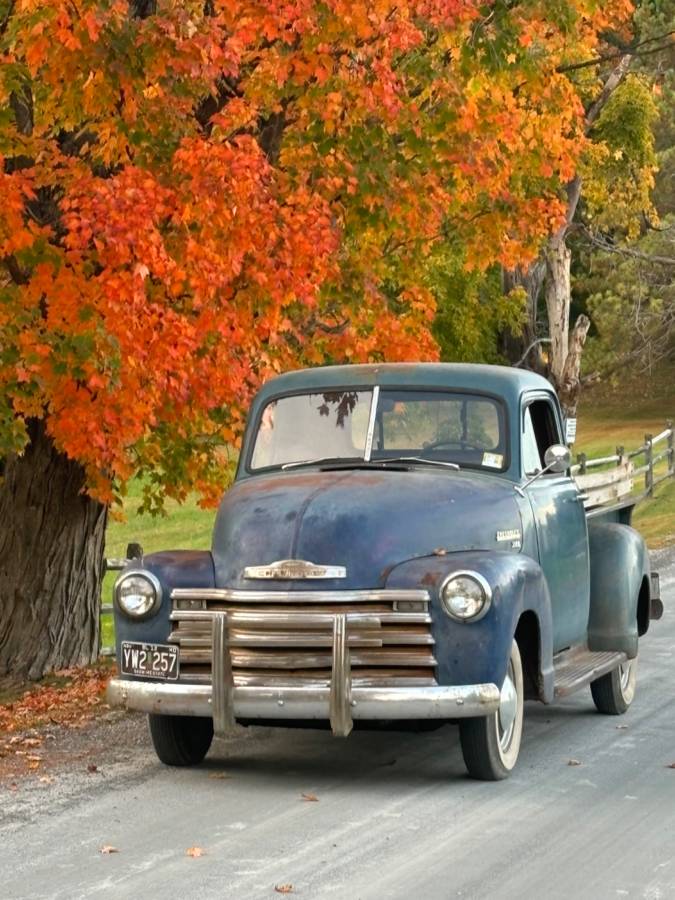 Chevrolet-3100-1951-blue-3