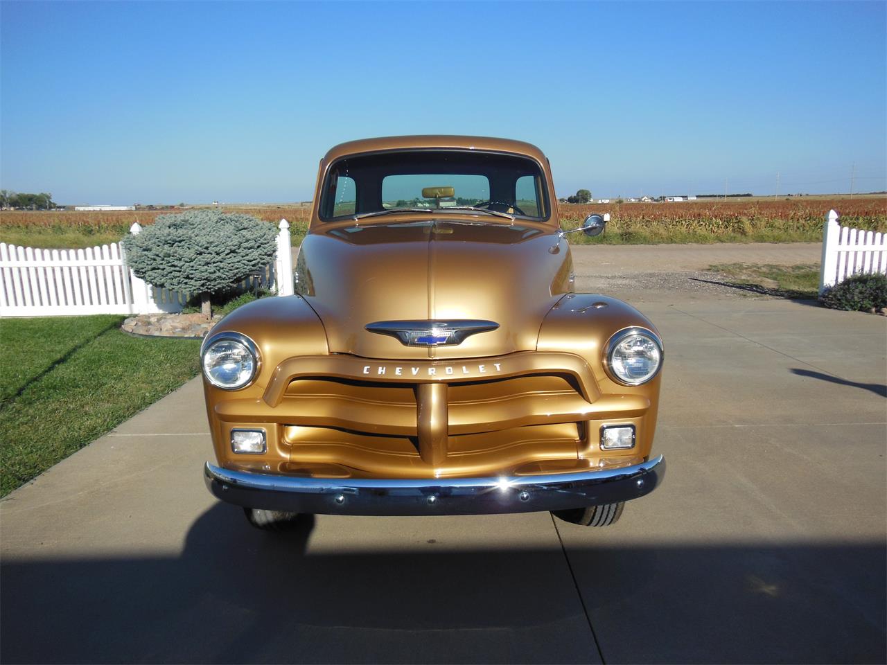 Chevrolet-3100-1954-Gold-Dark-brown-1