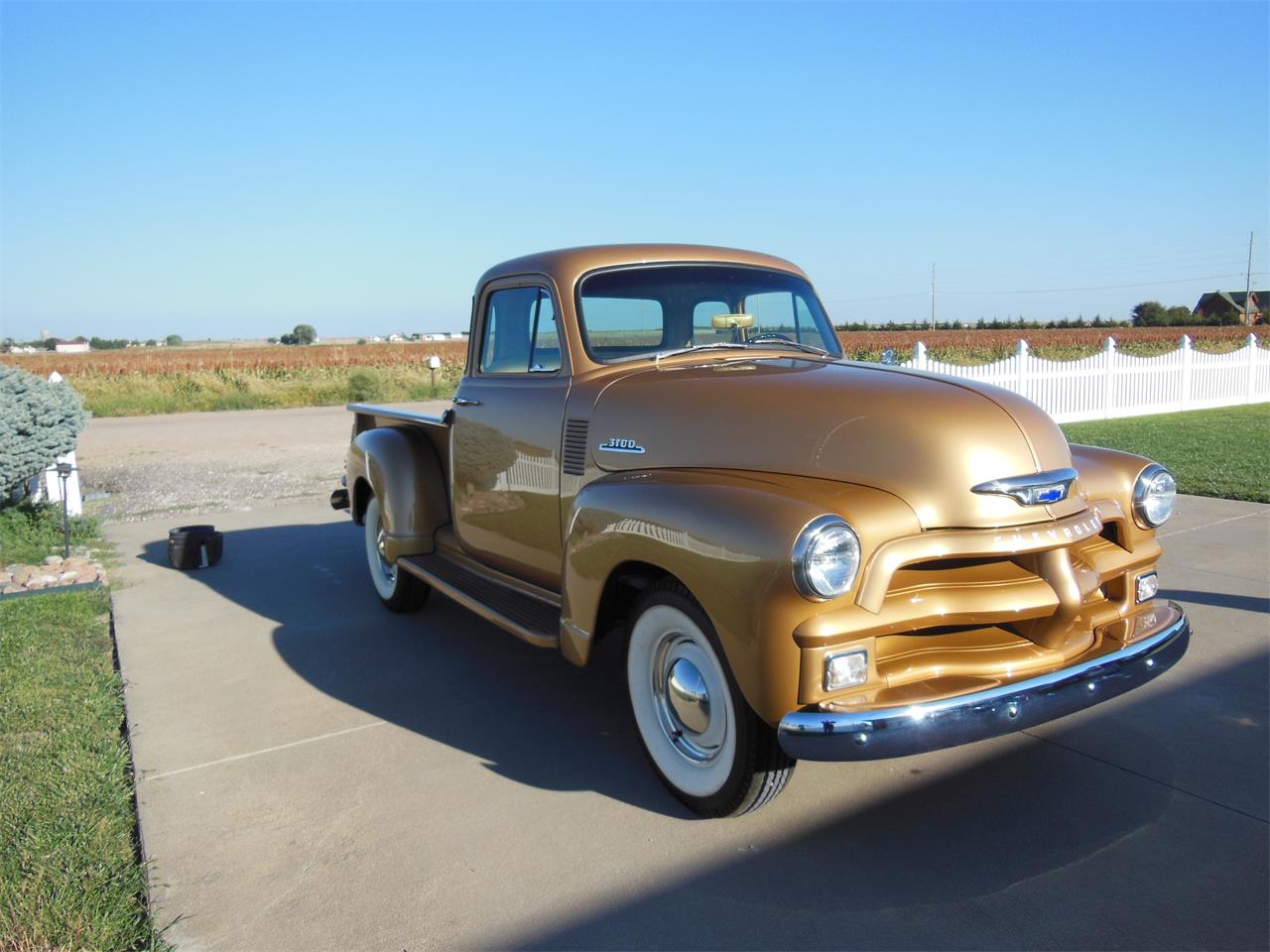 Chevrolet-3100-1954-Gold-Dark-brown