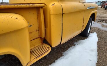 Chevrolet-3100-1959-6