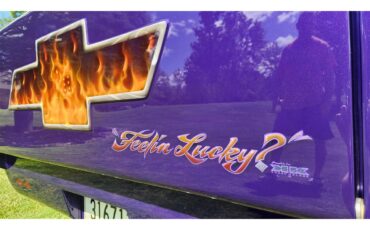 Chevrolet-3100-1959-PPG-UV-Purple-Pearl-Custom-Purple-35