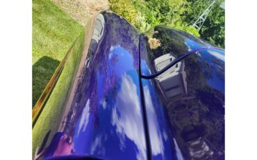 Chevrolet-3100-1959-PPG-UV-Purple-Pearl-Custom-Purple-42