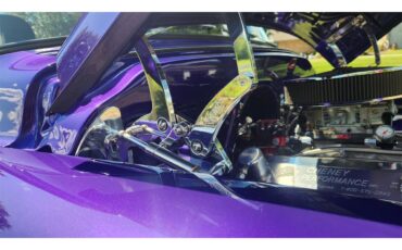 Chevrolet-3100-1959-PPG-UV-Purple-Pearl-Custom-Purple-60