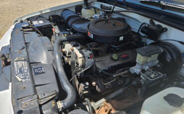 Chevrolet-454-ss-c1500-1993-10