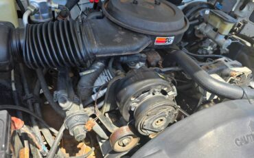 Chevrolet-454-ss-c1500-1993-13
