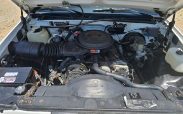 Chevrolet-454-ss-c1500-1993-8
