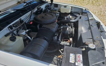 Chevrolet-454-ss-c1500-1993-9