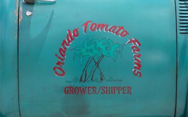 Chevrolet-5-window-pickup-1947-Blue-Patina-Tan-Buffalo-Hide-68