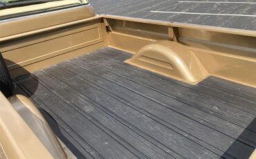 Chevrolet-Apache-1958-Ann.-GoldSand-Beige-Sand-Beige-69
