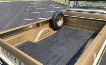 Chevrolet-Apache-1958-Ann.-GoldSand-Beige-Sand-Beige-70