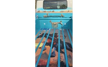 Chevrolet-Apache-1959-Indian-Tourquoise-Tourquoise-and-White-12