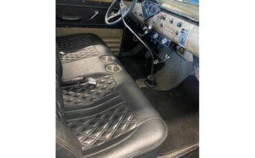 Chevrolet-Apache-1959-Patina-BrownBlack-7