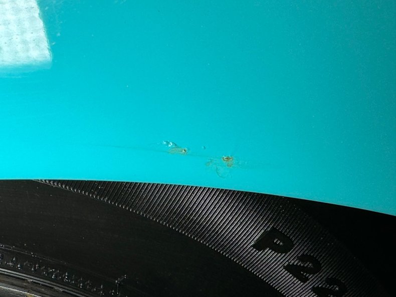 Chevrolet-Biscayne-1958-Tropic-Turquoise-Light-Blue-26