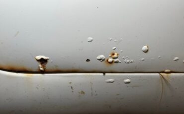 Chevrolet-Biscayne-1958-White-Blue-14