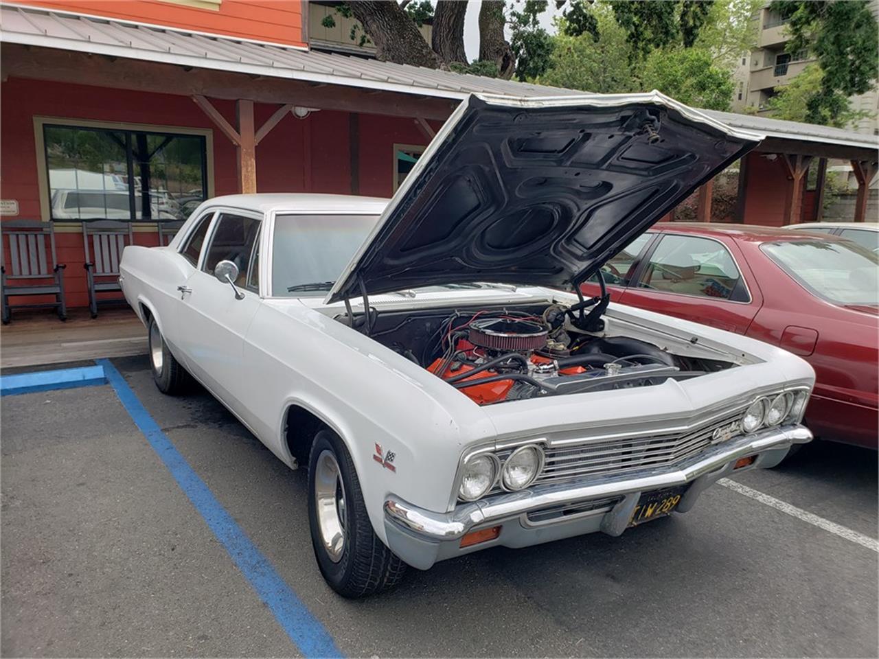 Chevrolet-Biscayne-1966-White-Black-1