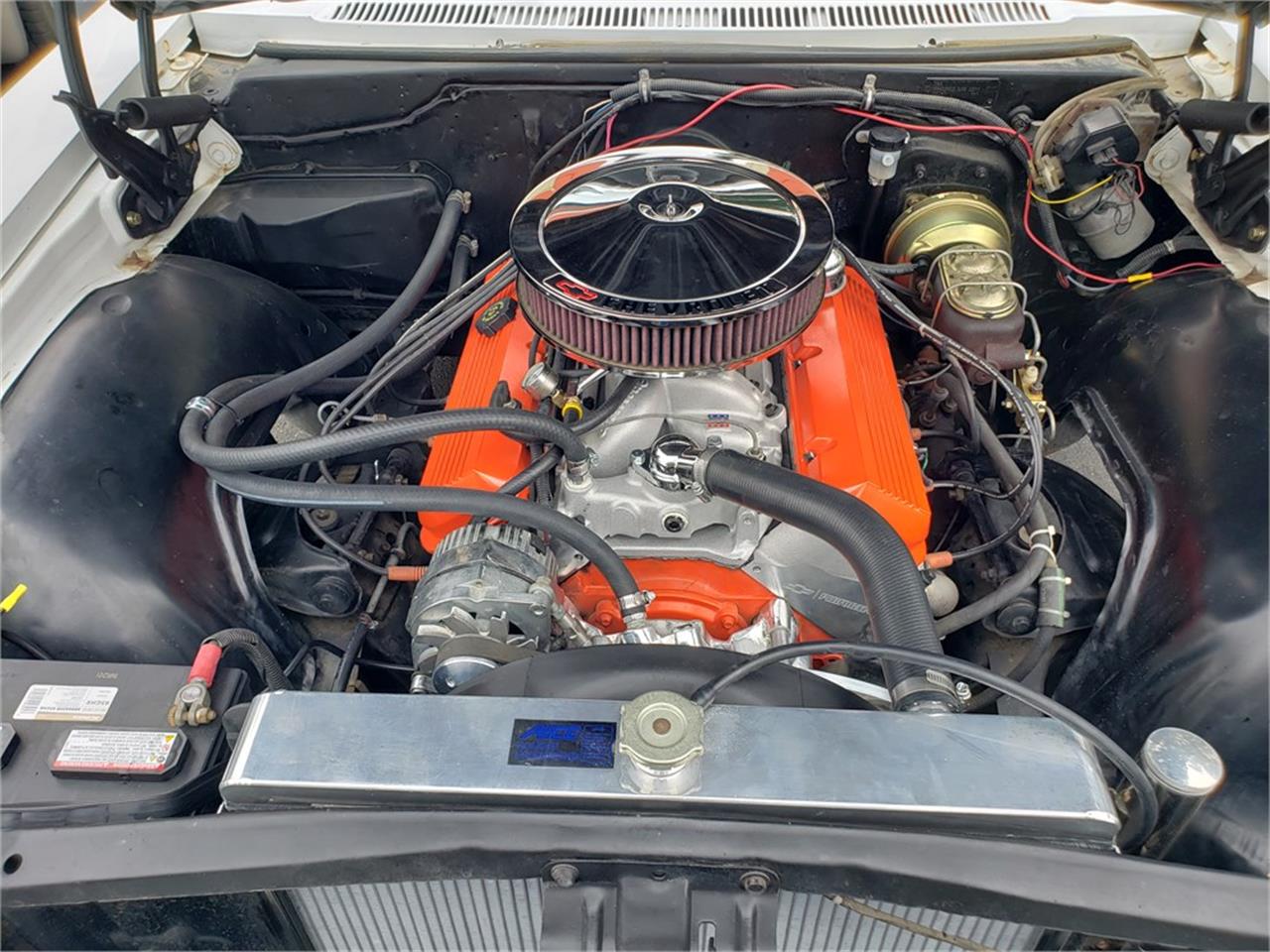 Chevrolet-Biscayne-1966-White-Black-35