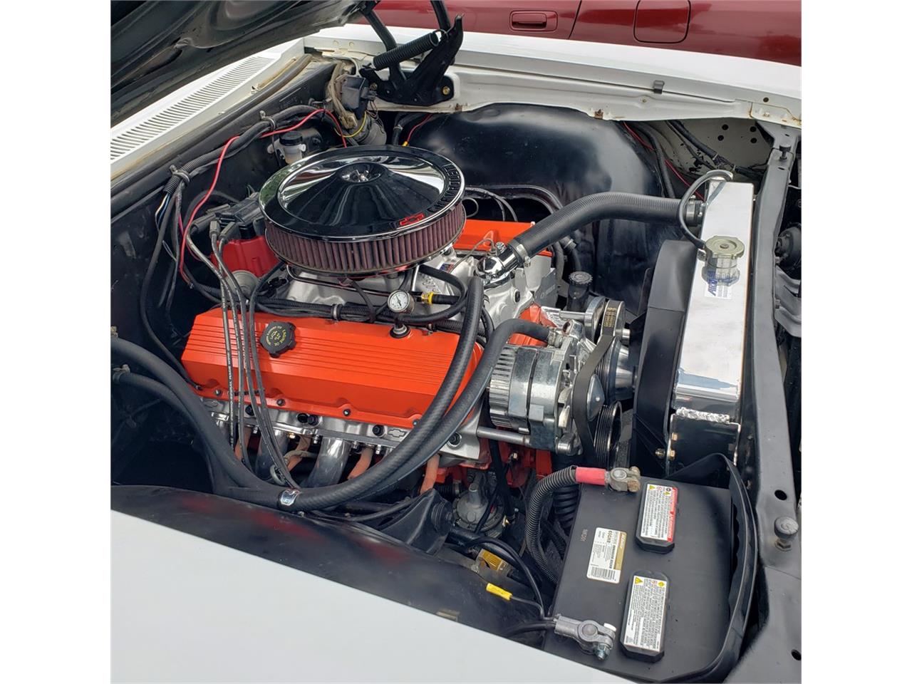 Chevrolet-Biscayne-1966-White-Black-36