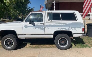 Chevrolet-Blazer-1990-White-Blue-10