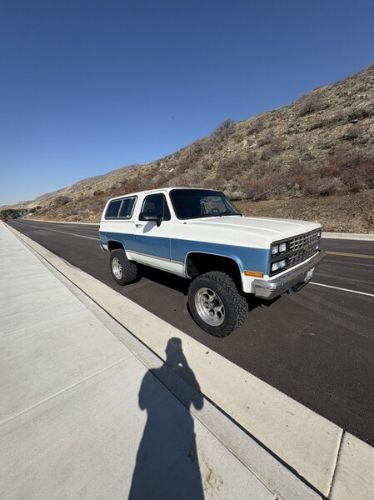 Chevrolet-Blazer-1990-White-Blue-11