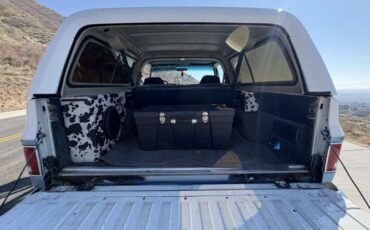 Chevrolet-Blazer-1990-White-Blue-3