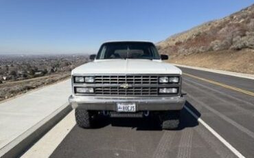 Chevrolet-Blazer-1990-White-Blue-9