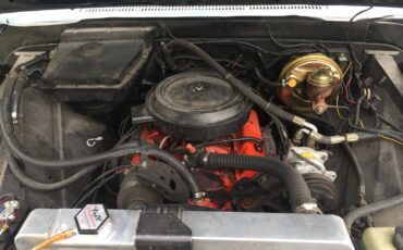 Chevrolet-C-10-1966-20
