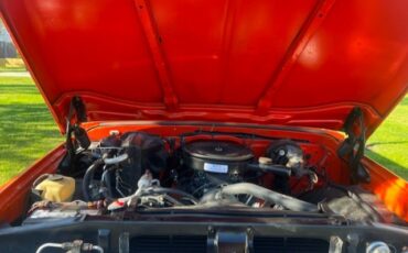 Chevrolet-C-10-1970-8