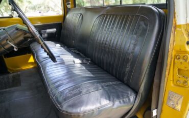 Chevrolet-C-10-1970-Other-17
