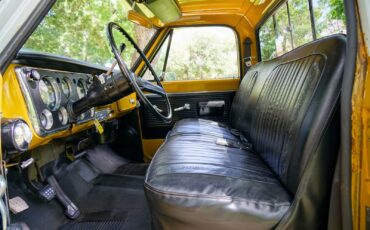 Chevrolet-C-10-1970-Other-3