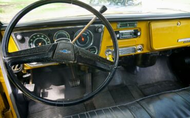 Chevrolet-C-10-1970-Other-4