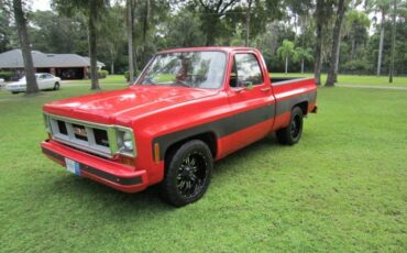 Chevrolet-C-10-1970-Standard-Cab-Pickup-1