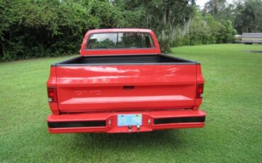 Chevrolet-C-10-1970-Standard-Cab-Pickup-3