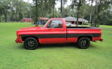Chevrolet-C-10-1970-Standard-Cab-Pickup-4