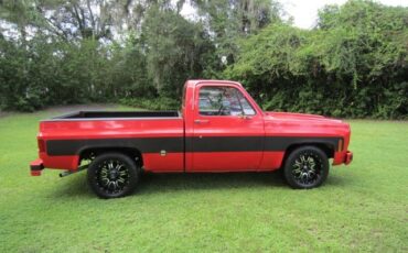 Chevrolet-C-10-1970-Standard-Cab-Pickup-5