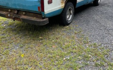 Chevrolet-C-10-1972-4