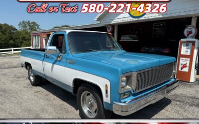 Chevrolet C-10 1973 Pickup Truck