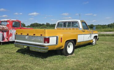 Chevrolet-C-10-1974-1