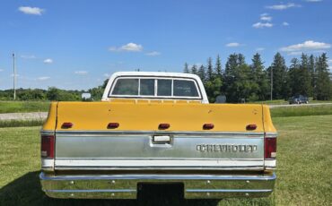 Chevrolet-C-10-1974-10