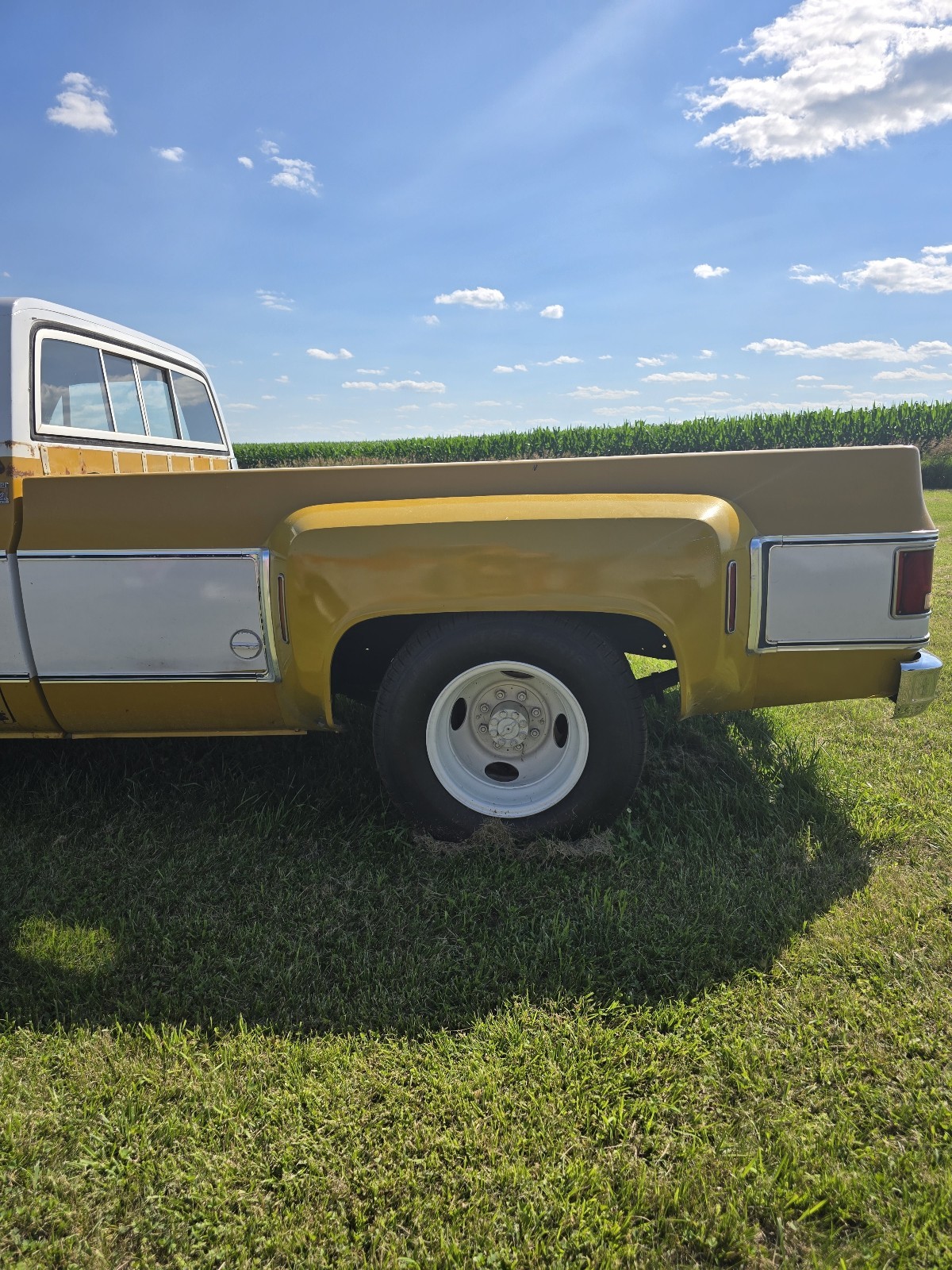 Chevrolet-C-10-1974-11