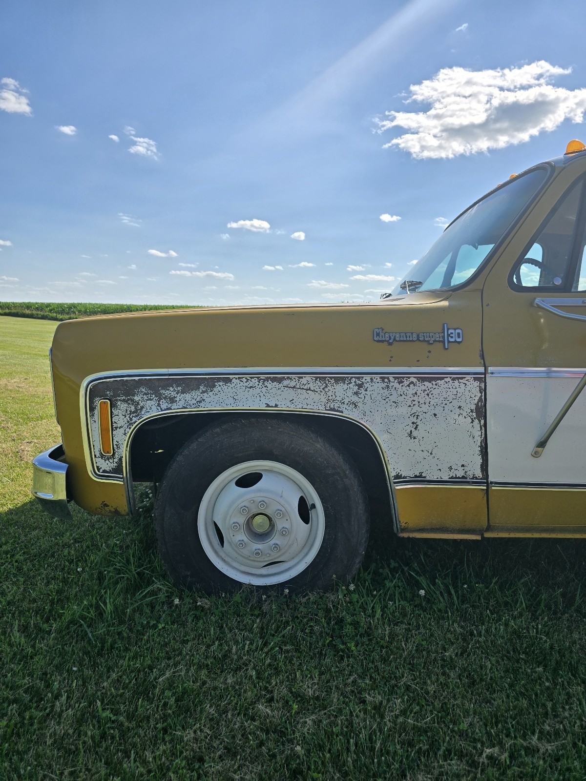 Chevrolet-C-10-1974-13