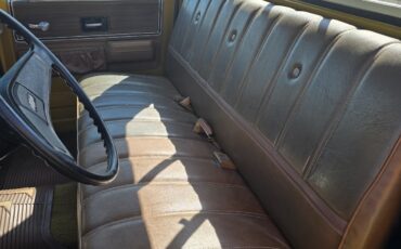 Chevrolet-C-10-1974-18