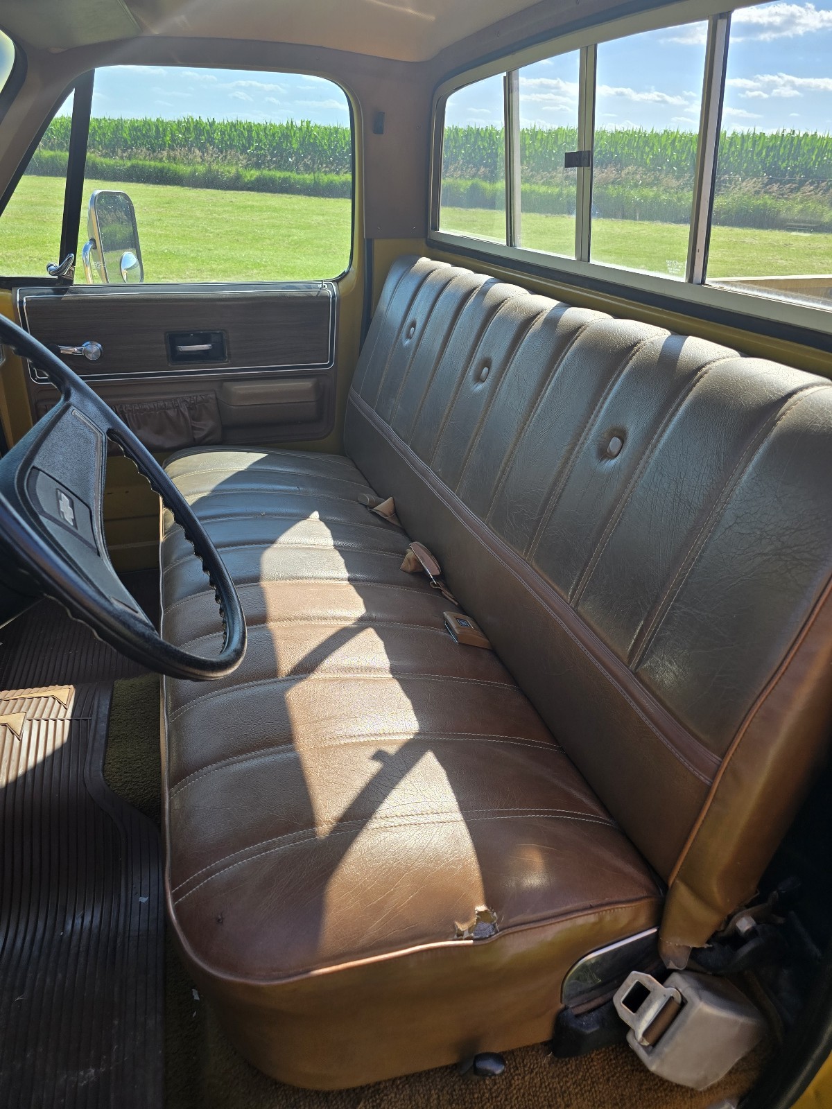 Chevrolet-C-10-1974-18
