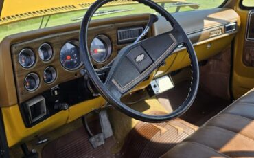 Chevrolet-C-10-1974-19