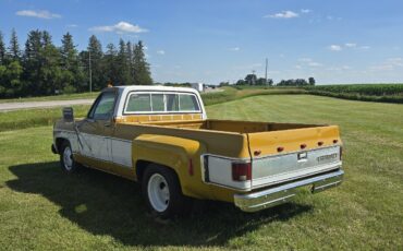 Chevrolet-C-10-1974-2