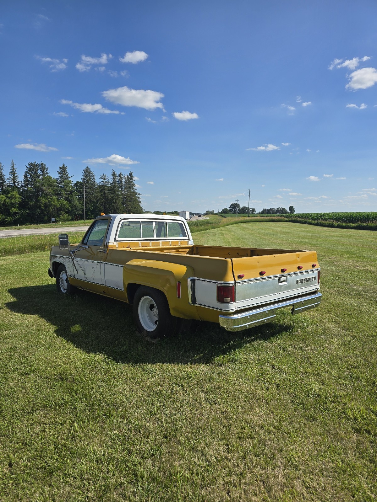 Chevrolet-C-10-1974-2
