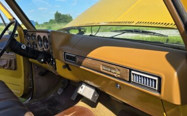 Chevrolet-C-10-1974-20