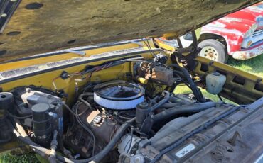 Chevrolet-C-10-1974-23