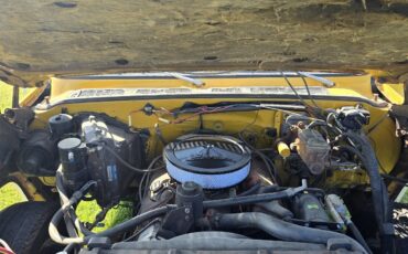 Chevrolet-C-10-1974-24